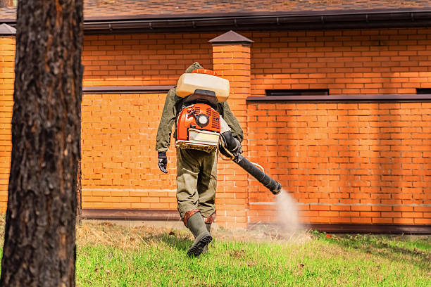 Top rated local Mosquito Control specialists in Dunean, SC
